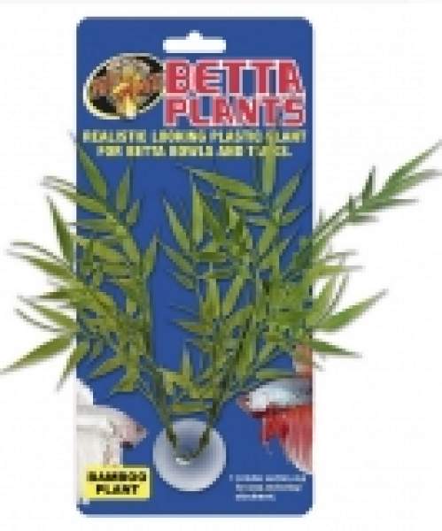 Betta Plant